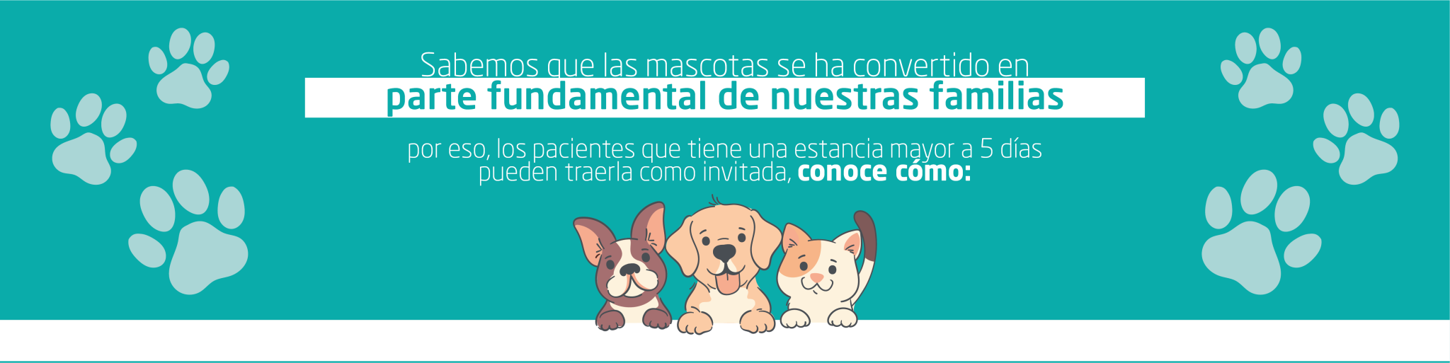 Banners-portal-exp-personas_Mesa-de-trabajo-1-2048x513 (1)